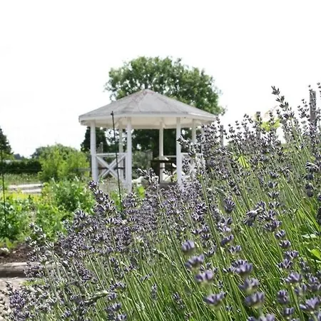 Christie's Sdr. Hostrup