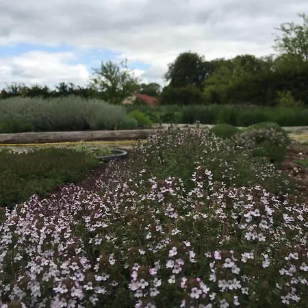 Christie's Sdr. Hostrup Hotel Åbenrå