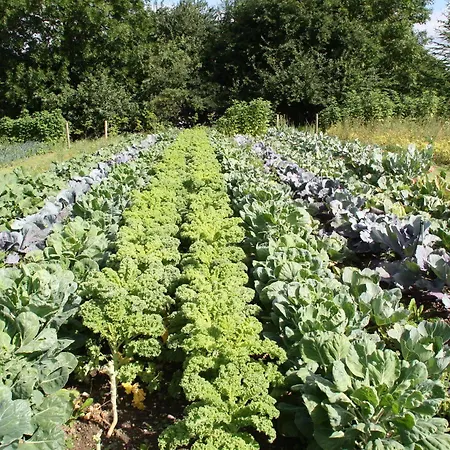 Christie's Sdr. Hostrup Hotel 3*