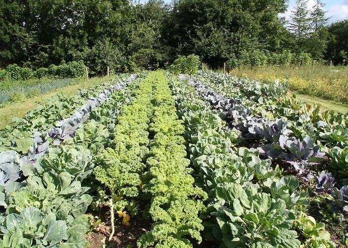 Christie's Sdr. Hostrup Hotel 3*